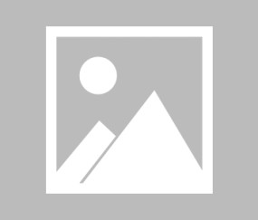 Kaiyun-包含字母哥迎来七赛季高光表现，巴黎圣日耳曼球迷沸腾！的词条