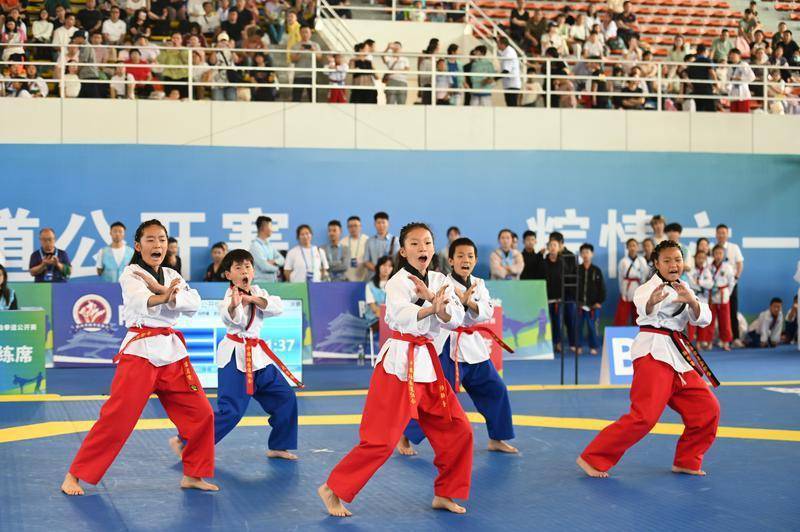 跆拳道邀请赛上演强强对话,陇右霹雳队翻盘海滨天虎队,战术调整见效;快速转换撕裂防线 跆拳道邀请赛上演强强对话,陇右霹雳队翻盘海滨天虎队,战术调整见效;快速转换撕裂防线