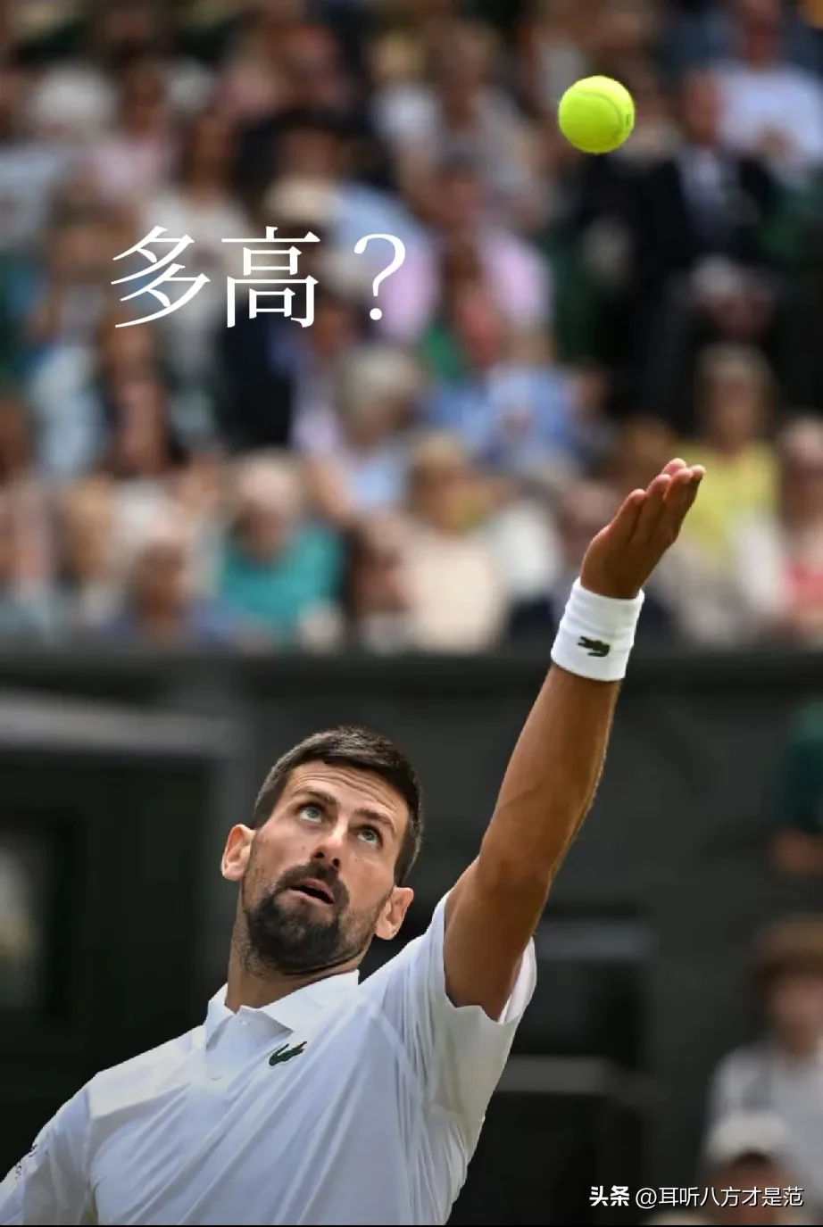 老鹰前途光明!,德约科维奇新星重要助攻表现突出气势如虹延续 老鹰前途光明!,德约科维奇新星重要助攻表现突出气势如虹延续